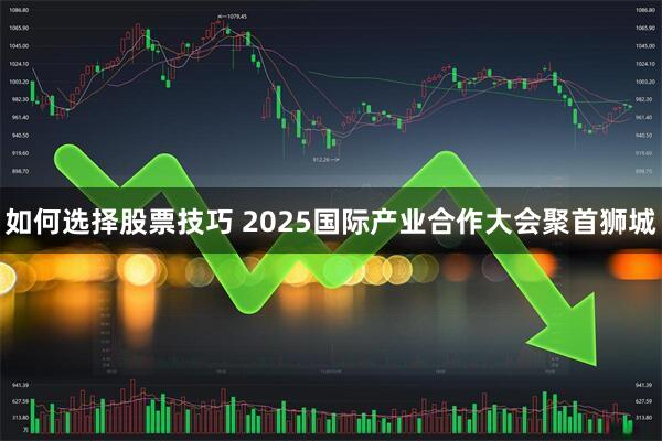 如何选择股票技巧 2025国际产业合作大会聚首狮城
