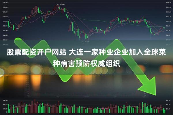 股票配资开户网站 大连一家种业企业加入全球菜种病害预防权威组织