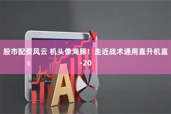 股市配资风云 机头像海豚！走近战术通用直升机直-20